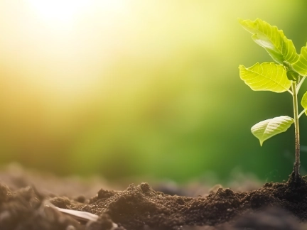 ESG sampling tree growing in soil