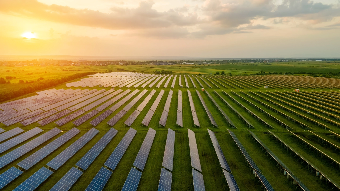 solar panel field in sunset image