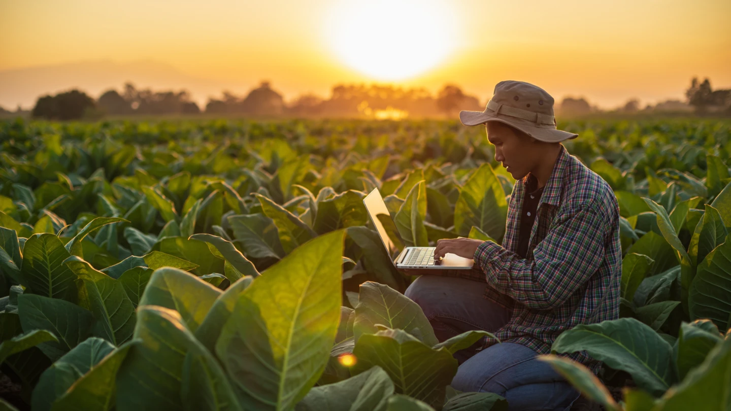 farmer in his field working on his laptop