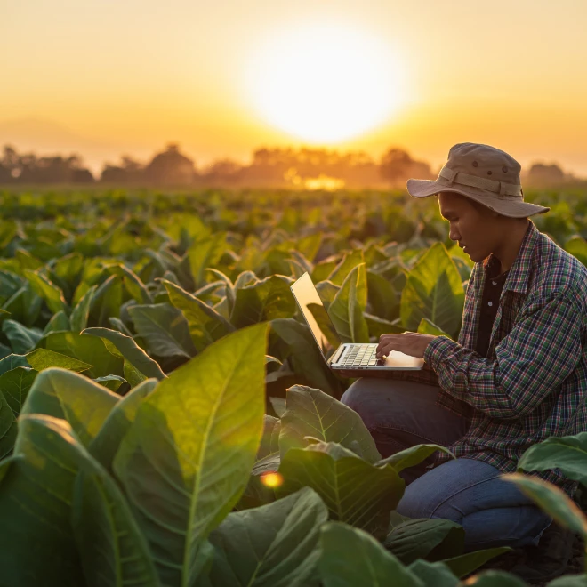 farmer in his field working on his laptop