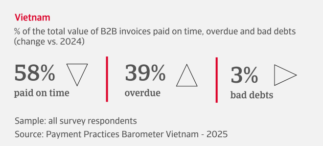 % of the total value of B2B invoices paid on time, overdue and bad debts in Vietnam