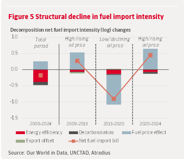Figure 5 Structural decline in fuel import intensity