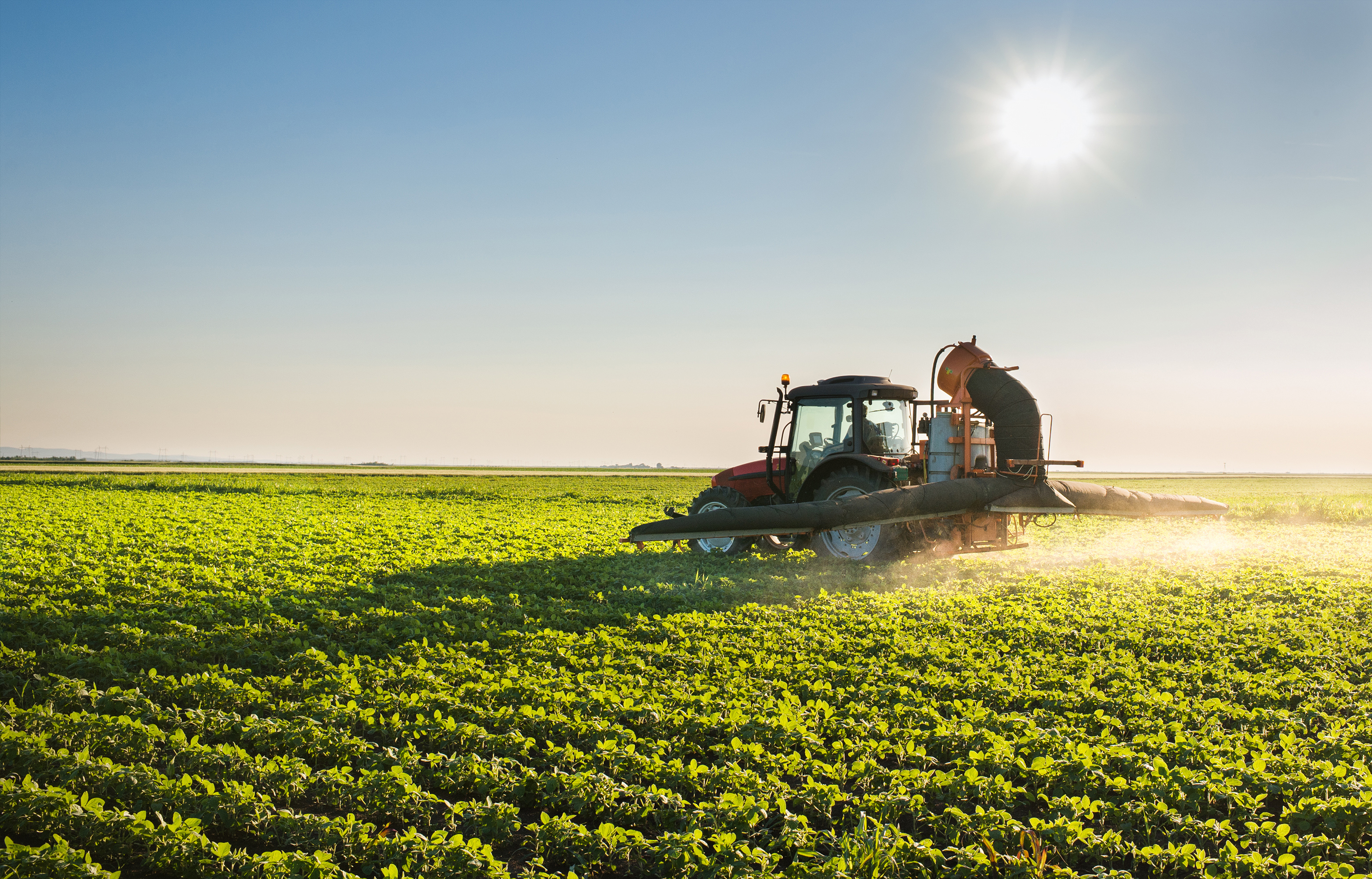 Agri-food sector Ireland